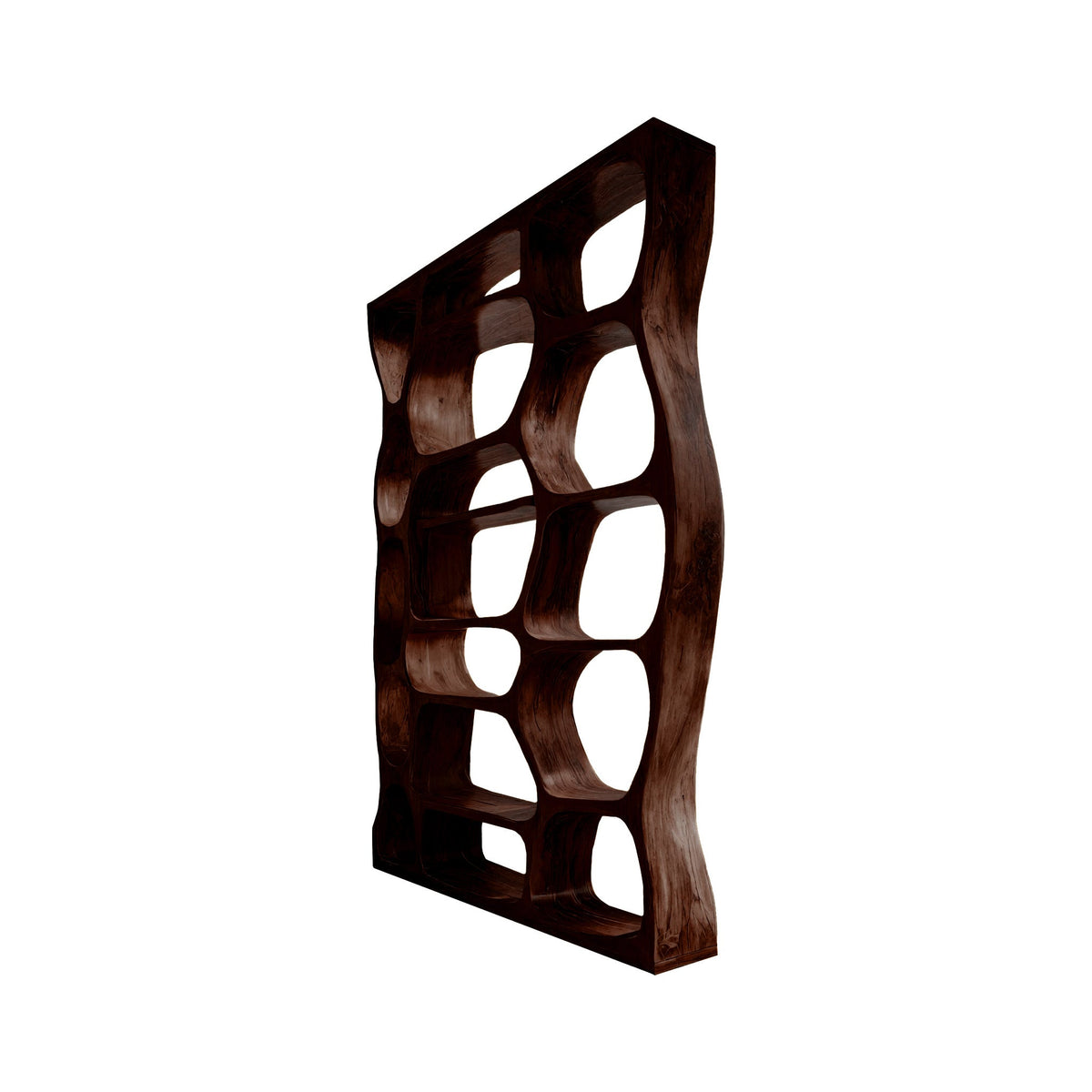 Auralis Sculpted Solid Wood Divider Bookshelf